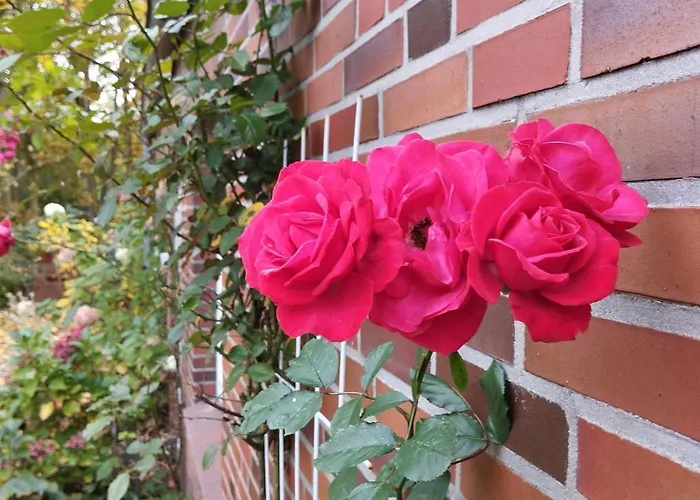 Butterburg Ukena - Ein Traum Fuer 8 Personen Mit Balkon Lägenhet Dornum